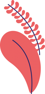 hoja