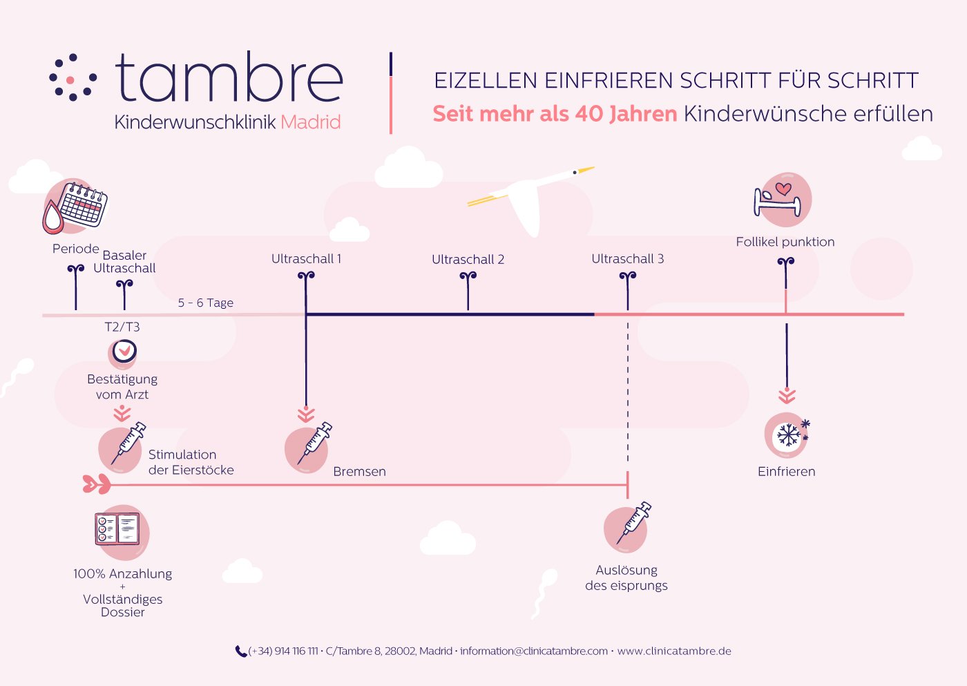 Einfrieren der Eizellen